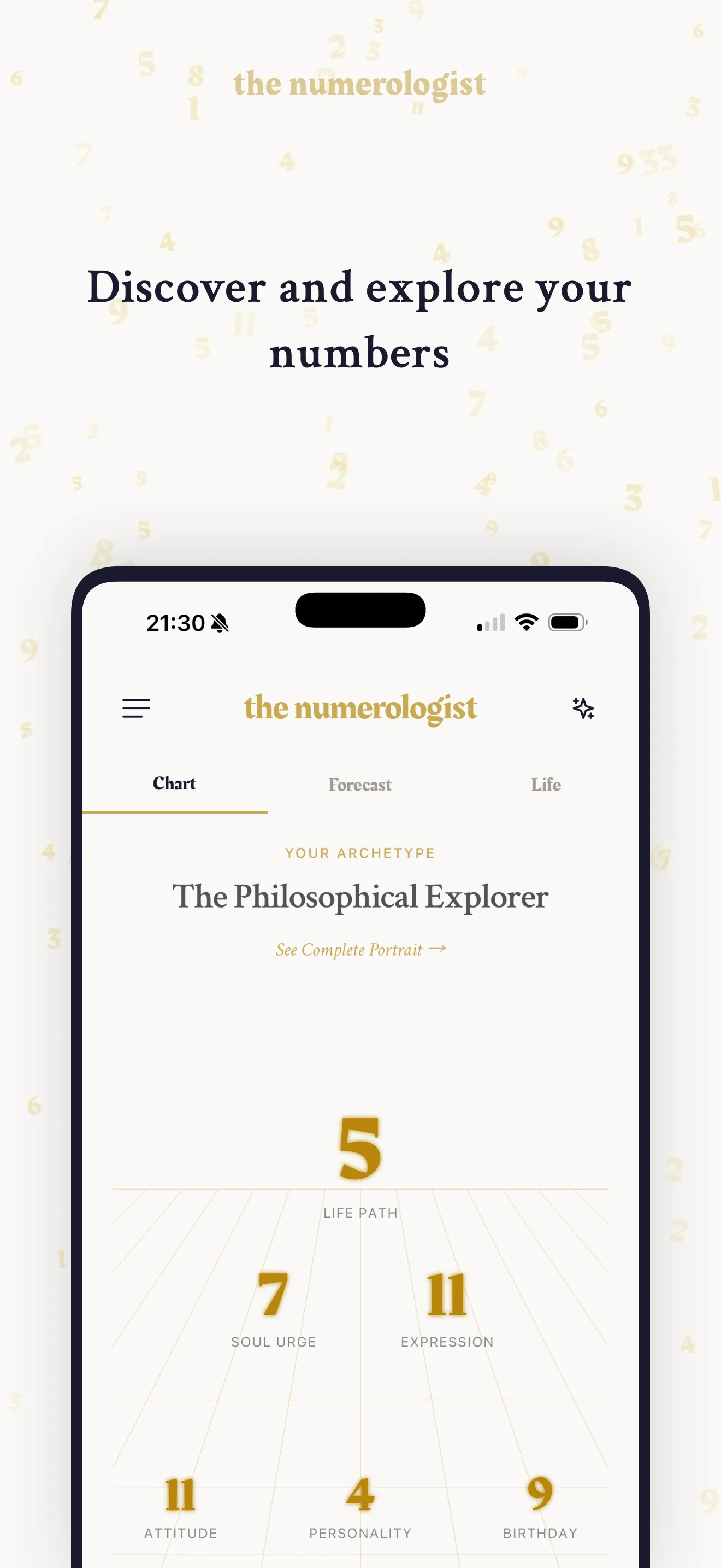 Your complete numerological chart with Life Path, Soul Urge, Expression and more