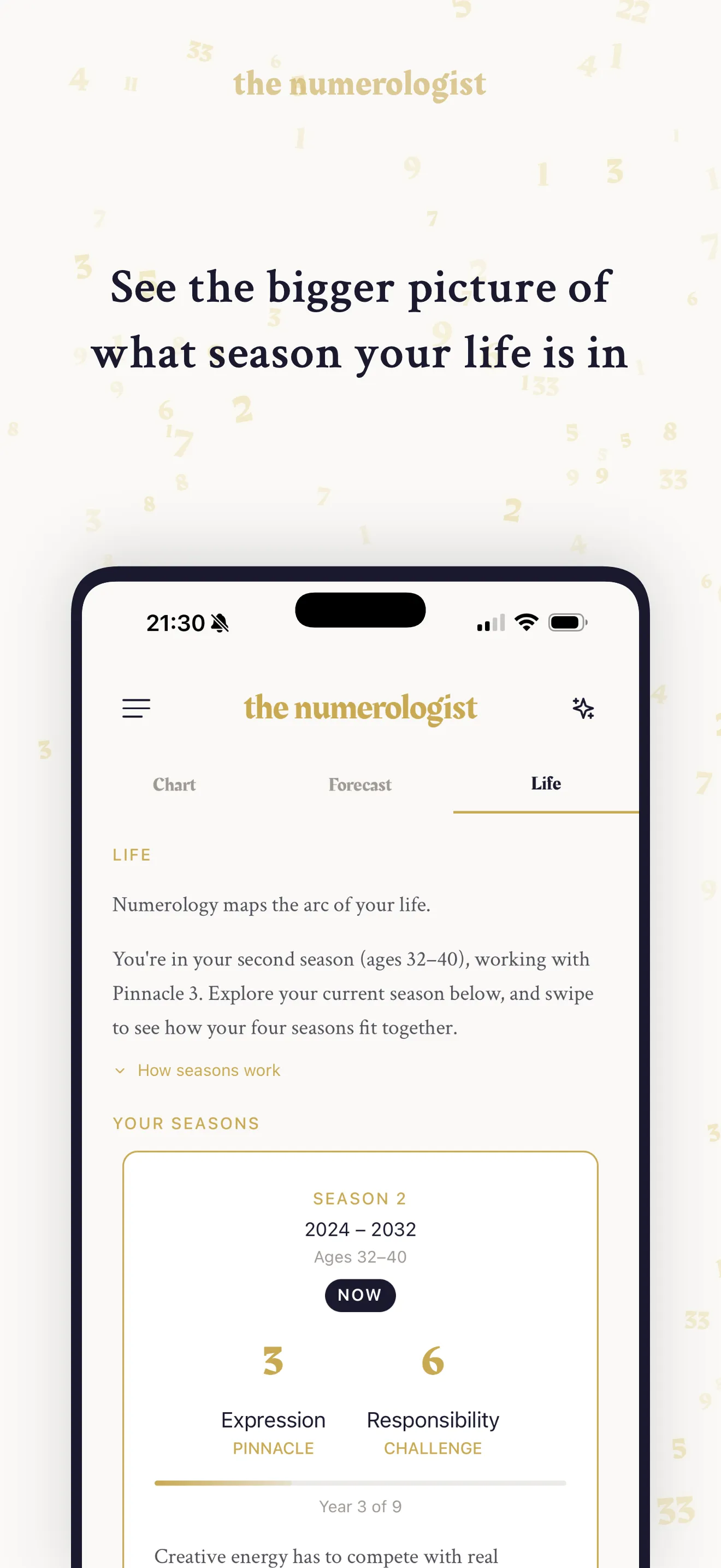 Life seasons view showing your pinnacles, challenges, and the arc of your life